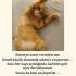 Oğluma kendi evladı gibi bakacak bir yuva fotoğraf