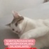 Sokak bilmiyor açıklamayı lütfen okuyun fotoğraf
