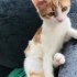 Ama ben çok tatlıyım