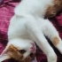 Ama ben çok tatlıyım fotoğraf