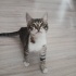 Acil Yuva: 3 Aylık, Tüm Detaylar İçeride fotoğraf