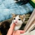 Sokakta insanlardan şiddet gören bir annenin 3 güzel bebekleri için YUVA💗 fotoğraf