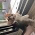 Sokakta insanlardan şiddet gören bir annenin 3 güzel bebekleri için YUVA💗 fotoğraf