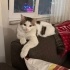 Sevecen, sevgi dolu fotoğraf