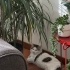 Sevecen, sevgi dolu fotoğraf