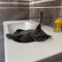 Asil ve Sakin 2 Yaşında Dişi British Shorthair fotoğraf