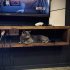 Asil ve Sakin 2 Yaşında Dişi British Shorthair fotoğraf