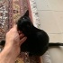 Sevgi dolu zeytin fotoğraf
