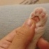 minik kayısı ailesini arıyor fotoğraf