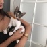 Oyuncu Turşu'ya Yuva