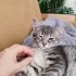 Annesi öldü çok acil yuva fotoğraf