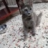 Güzeller güzeli balkıza sevgi dolu bir yuva fotoğraf