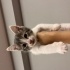 Oyuncu, sevgi dolu fotoğraf