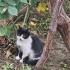 Lucky’imize yuvasını arıyoruzz!!! fotoğraf