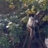 Lucky’imize yuvasını arıyoruzz!!! fotoğraf