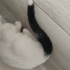 2,5 aylık güneşimize yuva arıyoruz fotoğraf