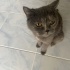 Duduya sıcak yuva fotoğraf