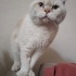Dışarı atılmış çipi yok fotoğraf