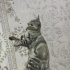 Mia - Uysal Kedi fotoğraf