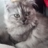 Asil prensesimiz fotoğraf