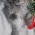 Asil prensesimiz fotoğraf