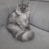 Asil prensesimiz fotoğraf