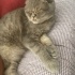 Umut oğlumuza Acil yuva fotoğraf