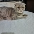 Umut oğlumuza Acil yuva fotoğraf