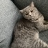 Tam bir süslü prenses fotoğraf