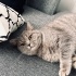 Tam bir süslü prenses fotoğraf