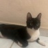 Yumoşumuz için yuva arıyoruz fotoğraf