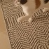 Sevgi Pıtırcığı Acil Ömürlük Yuvasını Arıyor!!! fotoğraf