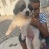 1,5 aylıklr 6 kardeş kaldılar, diğerlerini araba ezdi, acil geçici/kalıcı yuva!! fotoğraf