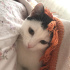 Sevgi dolu bir Dost (acil) fotoğraf