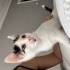 Adı gibi narin bebek fotoğraf