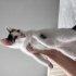 Adı gibi narin bebek fotoğraf