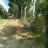 DOGO MASTI MELEZİ TAM BIR BAHCE KÖPEĞİ