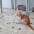 Oyuncu ve meraklı bir bebiş fotoğraf