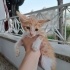 Oyuncu ve meraklı bir bebiş fotoğraf