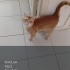 Sevgi Yumağımıza Yuva Arıyoruz