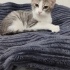 Kardeşlerin zamanı çok kısıtlı acil yuva fotoğraf