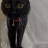 Çok uysal ve akıllı bir kedi fotoğraf