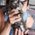 Kızımız Badem i alna ilk karma hefiyemiz🙏🐱 fotoğraf