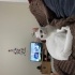 Oyun canlısı sevgi dolu bir kedi fotoğraf