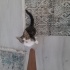 Ponçigimize yuva arıyoruz fotoğraf