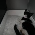 Sokakta bulunan yaralı kedi fotoğraf