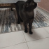 Prensesimize ömürlük yuva fotoğraf