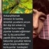 Ankara/Mamak Annesiz iki kardeş ömürlük yuvalarını arıyor. Biri dişi biri erkek.