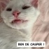 Ücretsiz sahiplenme lütfen okuyun fotoğraf