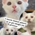 Ücretsiz sahiplenme lütfen okuyun fotoğraf